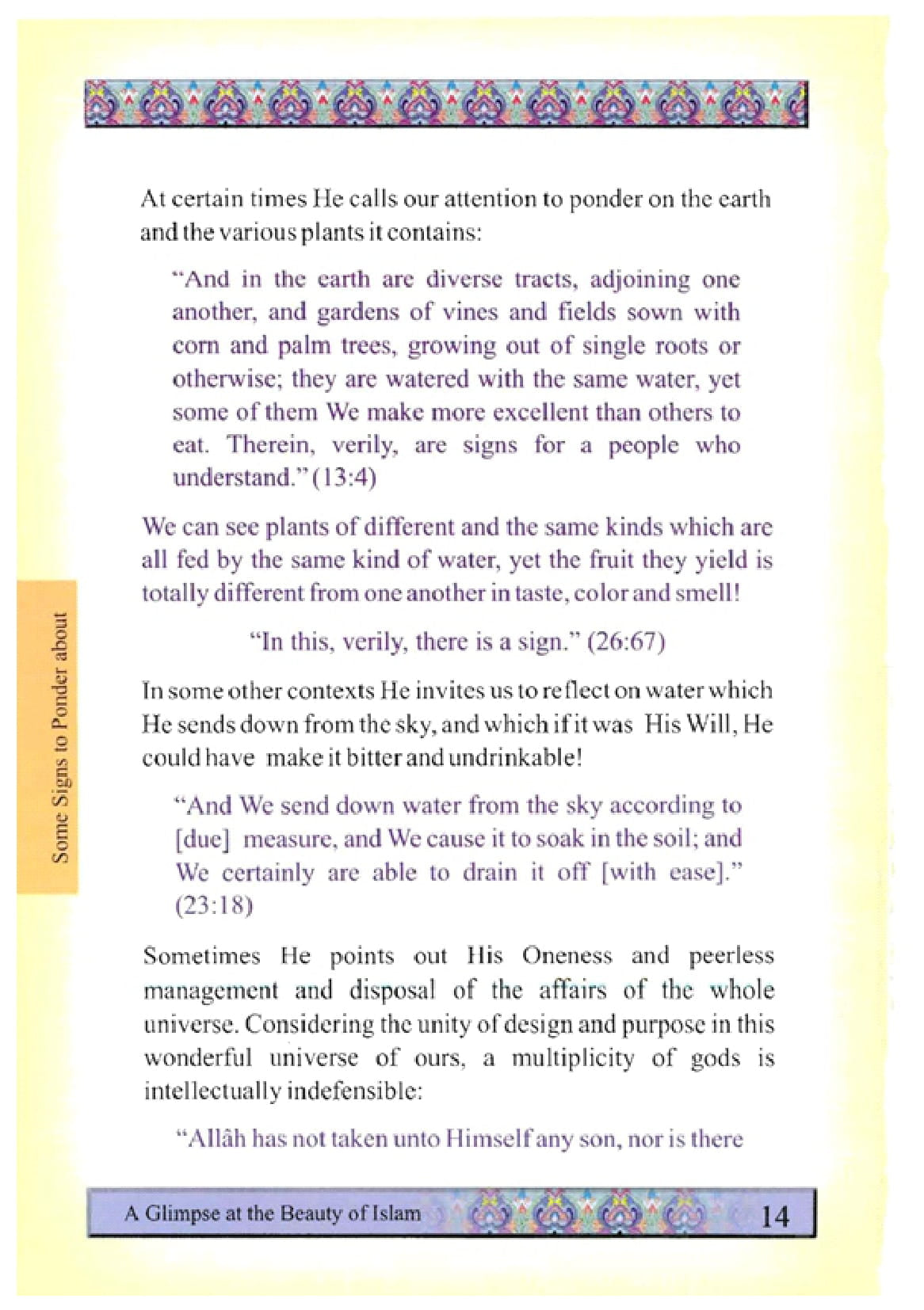 A Glimpse At The Beauty Of Islam (Colour)