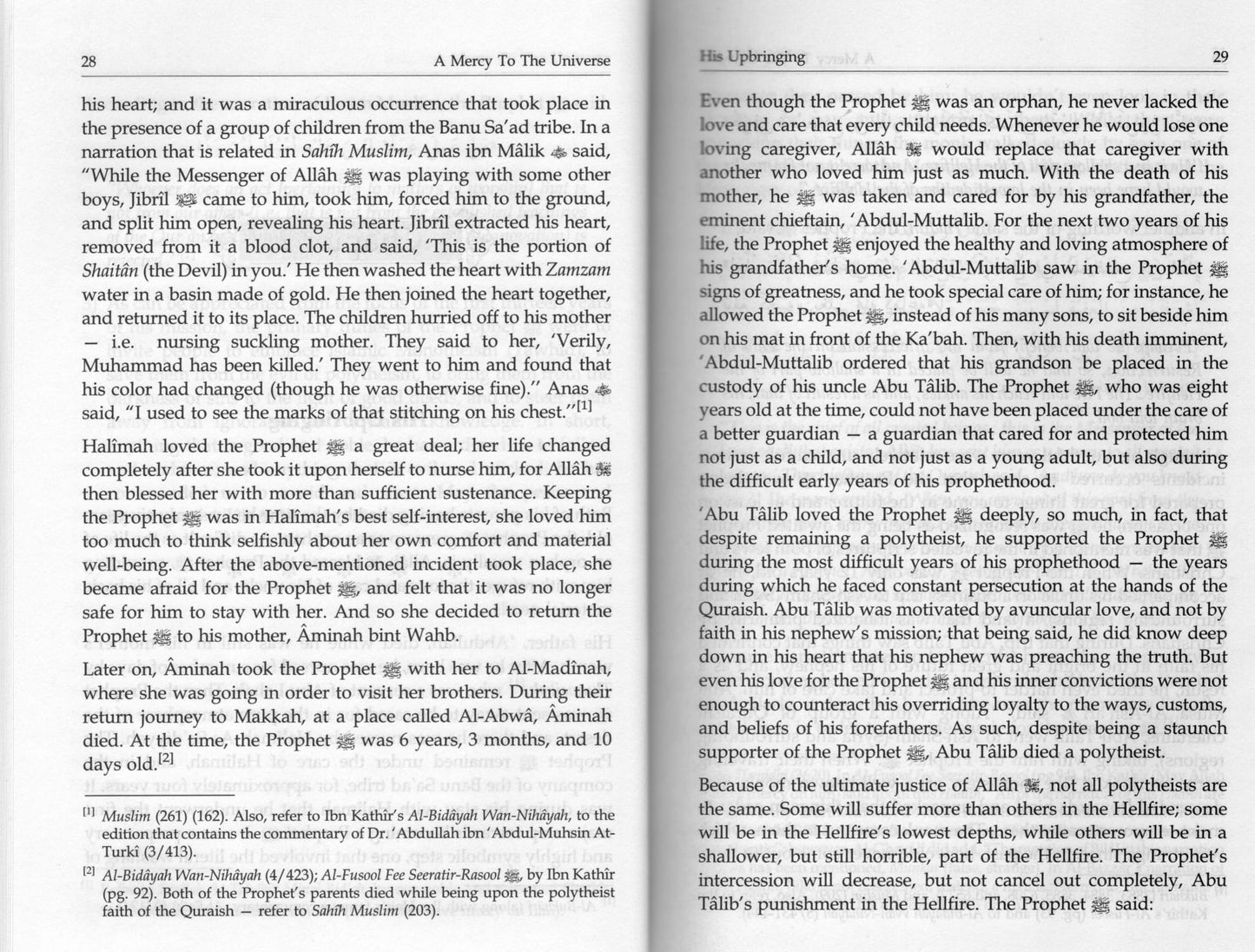 A Mercy To The Universe