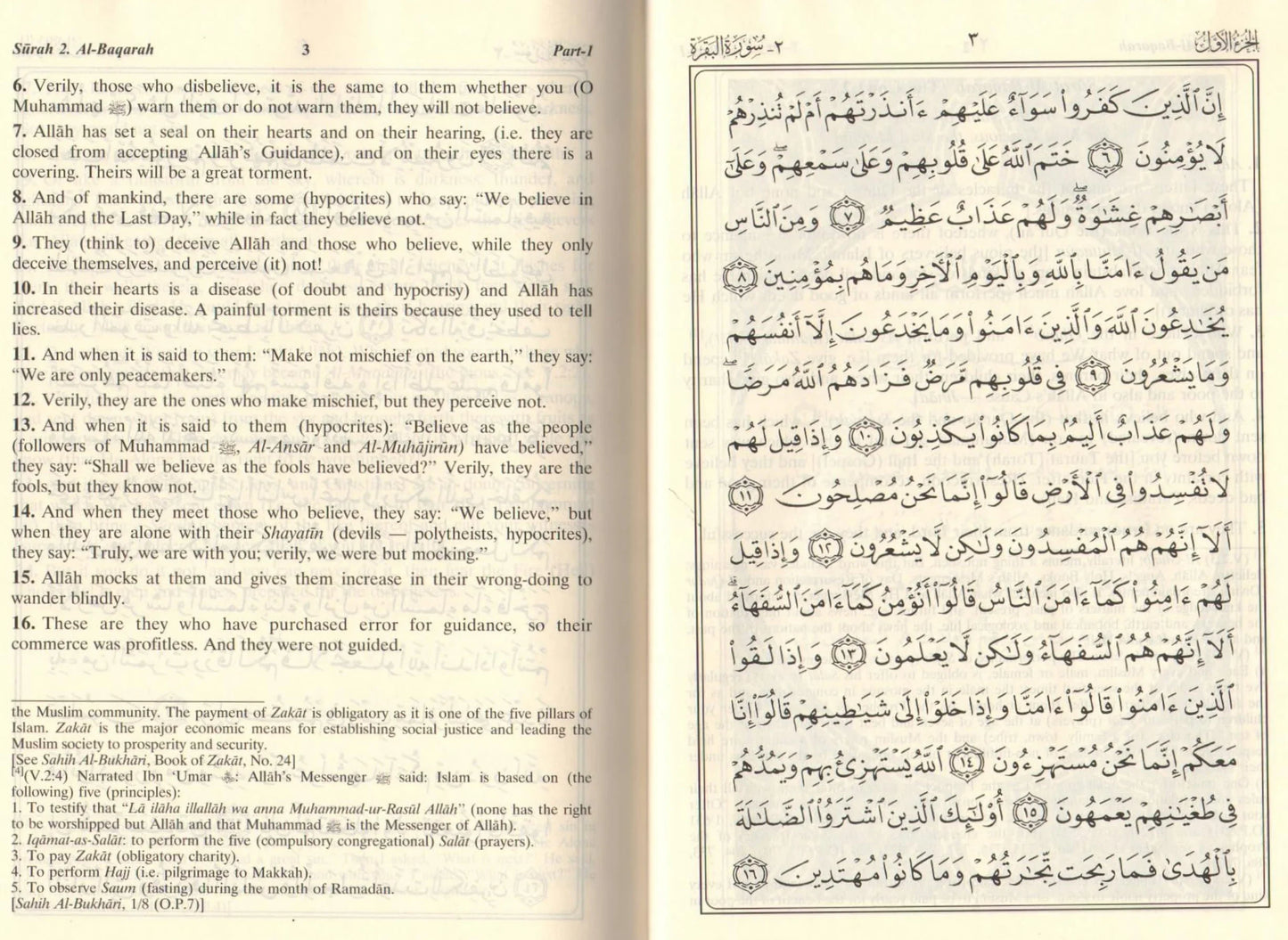Interpretation Of The Meanings Of The Noble Qur'An In The English Language - Reader Big