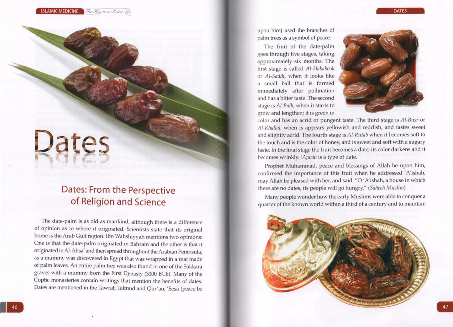 Islamic Medicine The Key To A Better Life